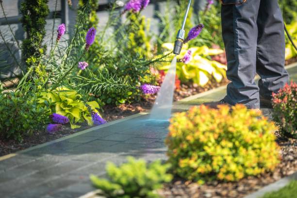 Reliable Telford, TN Pressure Washing Services Solutions