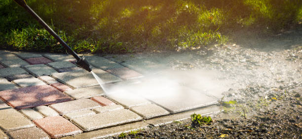 Best Roof Washing  in Telford, TN